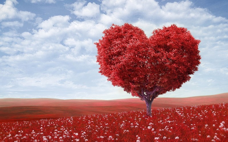 Romantic_Gift